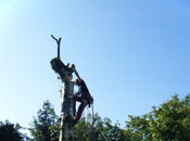 Kürzen eines Baumes