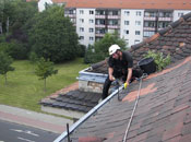 Entfernung von Wildwuchs