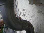 Installation eines Vogelabwehr-Systems