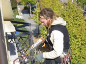 Vogelabwehr Installation