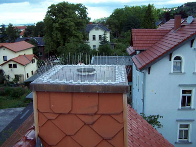Vogelabwehr mit Spikes